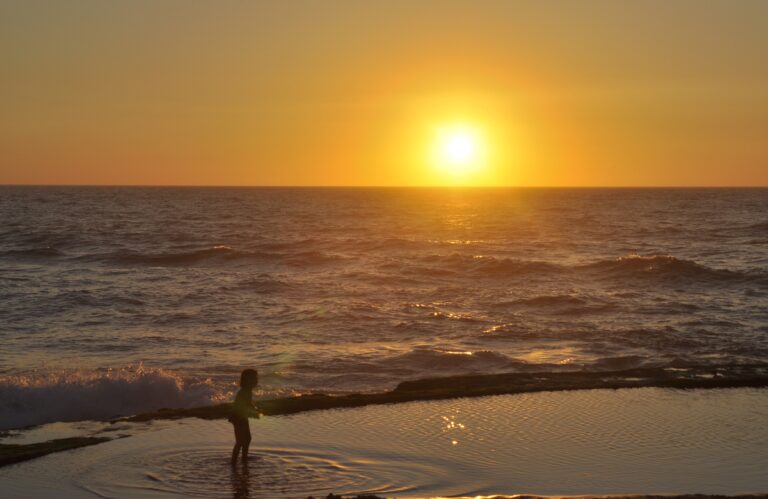 Carpe Diem